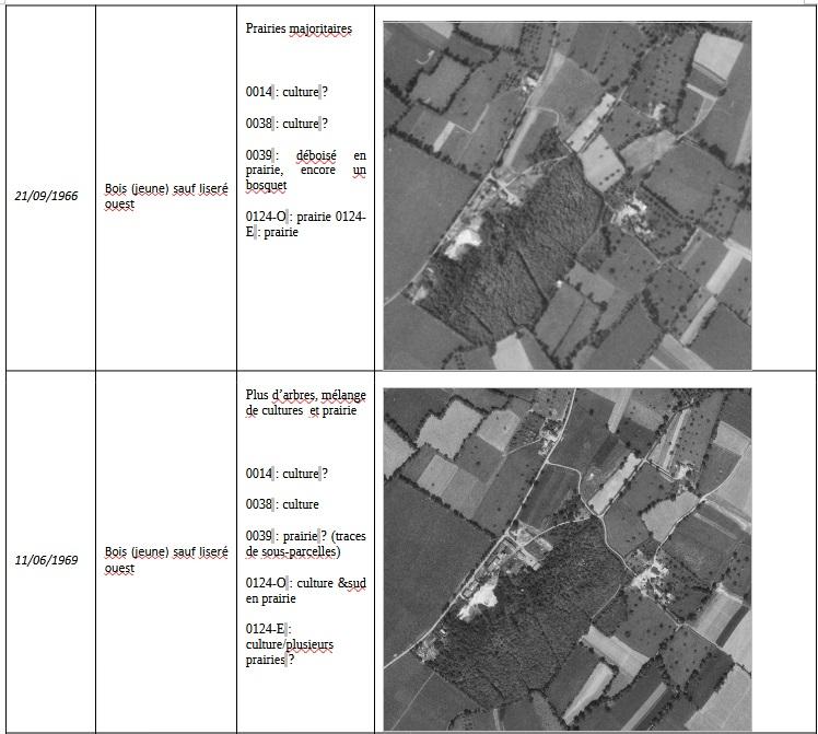 Photo aeriennes bretagne vivante 2